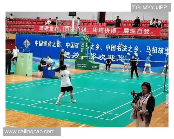 羽毛球力量榜单出炉成都羽毛球队荣获第九名佳绩