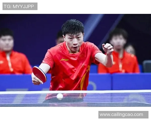 南京乒乓球队个人能力分析与发展策略探讨