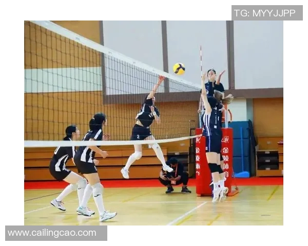 上海排球队在排球速度排行榜中荣获第三名展现强劲实力与潜力