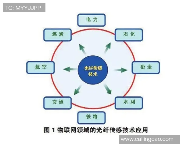 广州网球队在赛季中的节奏变化与战绩分析探讨 广州网球队在赛季中的节奏变化与战绩分析探讨