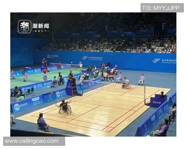 西安羽毛球队与深圳羽毛球队赛后复盘力量对决的深度分析与启示