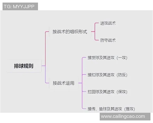西安排球队的排球进攻战术解析与实施策略探讨