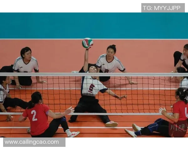 重庆排球队战术实力强劲荣登全国排球战术排行榜第六位