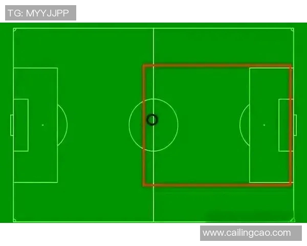 上海足球队防守策略解析与战术演变的深度分析