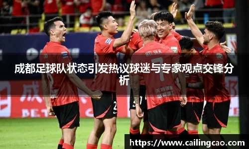 成都足球队状态引发热议球迷与专家观点交锋分析