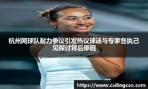 杭州网球队耐力争议引发热议球迷与专家各执己见探讨背后原因