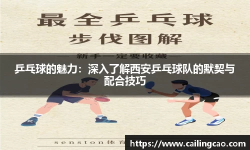 乒乓球的魅力：深入了解西安乒乓球队的默契与配合技巧
