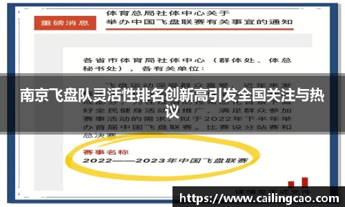 南京飞盘队灵活性排名创新高引发全国关注与热议