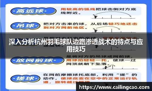 深入分析杭州羽毛球队边路渗透战术的特点与应用技巧