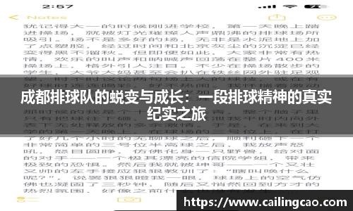 成都排球队的蜕变与成长：一段排球精神的真实纪实之旅