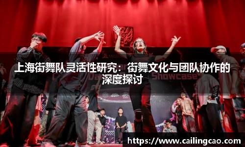 上海街舞队灵活性研究：街舞文化与团队协作的深度探讨