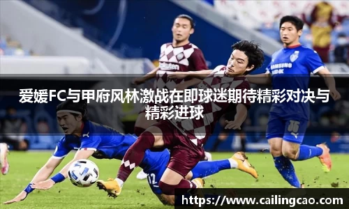 爱媛FC与甲府风林激战在即球迷期待精彩对决与精彩进球