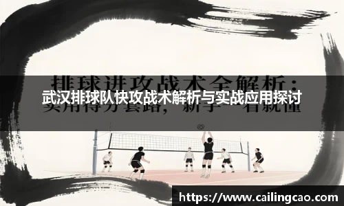武汉排球队快攻战术解析与实战应用探讨